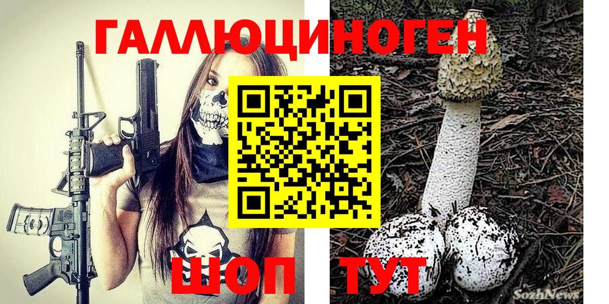 Галлюциногенные грибы Cubensis  Вход с VPN  Муравленко 